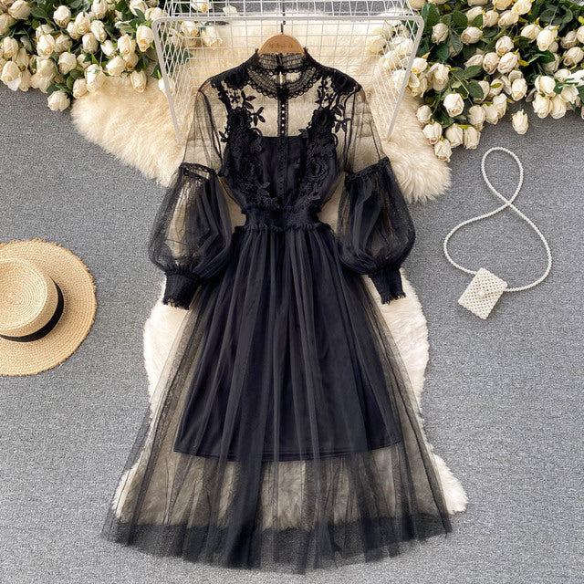 Mesh Lantern Sleeve Dress Set of 2 Mesh High Waist Lantern Sleeve Dress 2-Piece Set